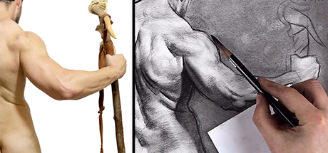 Figure Drawing Fundamentals: Shading – Upper Body Details cover art
