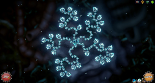 Siphofor windows and Linux 1