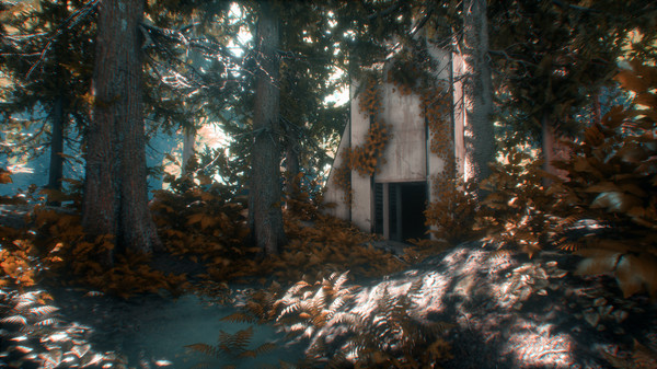 Asemblance: Oversight game for Linux 1