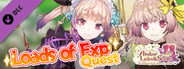 New Quest Loads of Exp Quest