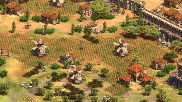 Age of Empires II: Definitive Edition game for Linux 1