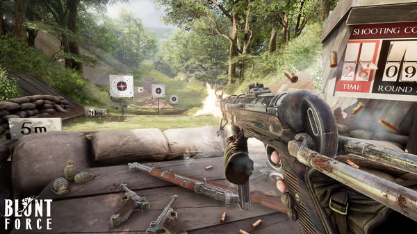 Blunt Forcefor windows and Linux 1