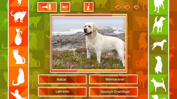 JQ: dogs & cats game for windows Pc 1