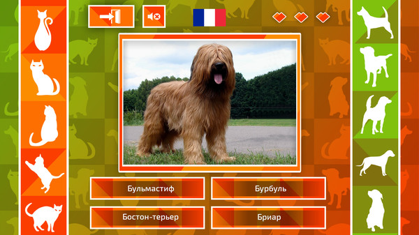 Скриншот из JQ: dogs & cats