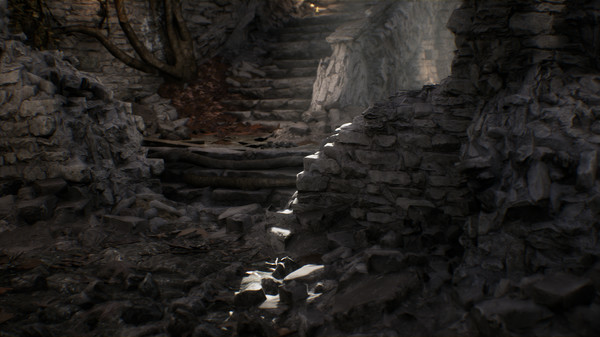 Inner Riddlefor windows and Linux 1