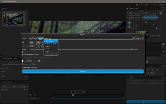 liquivid Easy Cinemagraphfor windows and Linux 1