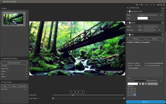 liquivid Easy Cinemagraph game for Linux 1