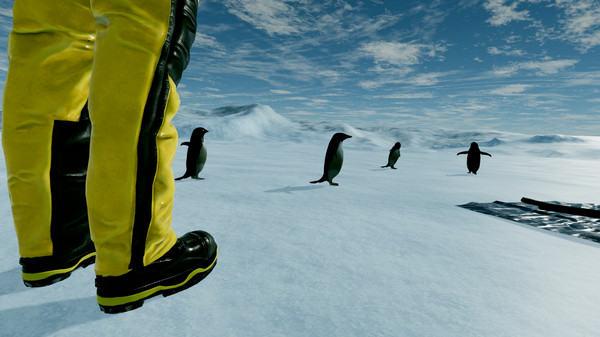 Kolb Antarctica Experience requirements