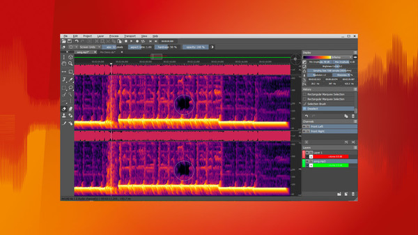 SpectraLayers Pro 5 Steam Editionfor windows and Linux 1