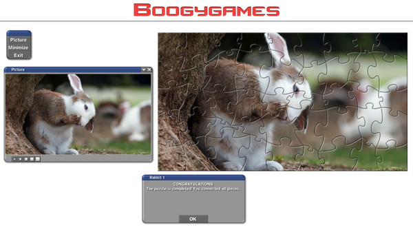 Rabbit: Jigsaw Puzzles minimum requirements