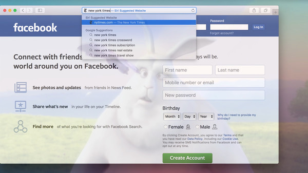 Chameleon Video Player game for windows Pc 1