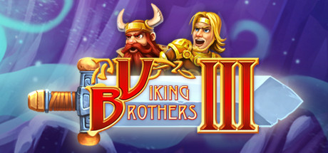 Viking Brothers 3