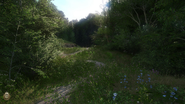Скриншот из Kingdom Come: Deliverance - HD Texture Pack