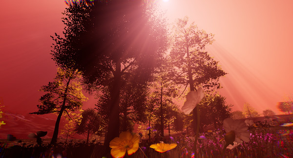 Hidden Protector for linux