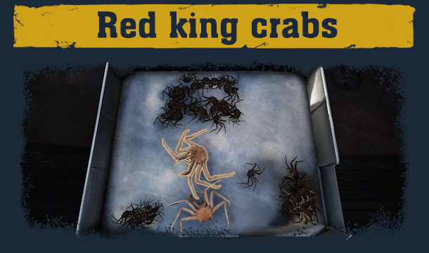 致命捕捞/Deadliest Catch: The Game