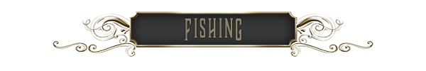 FISHING-DIVIDER--GRAY.png?t=1551165374