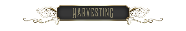 HARVESTING-DIVIDER--GRAY.png?t=155116537
