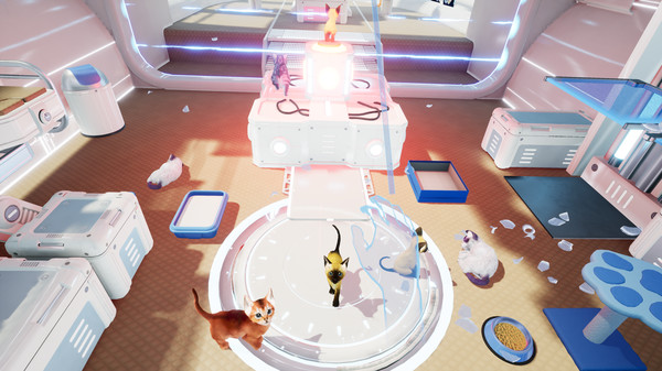 Kitten'd game for windows Pc 1