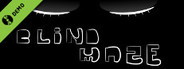 BlindMaze Demo