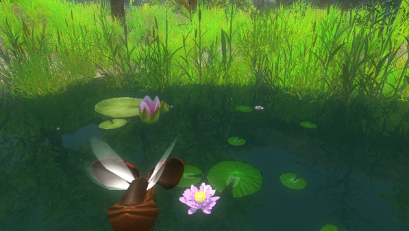 Hive Questfor windows and Linux 1