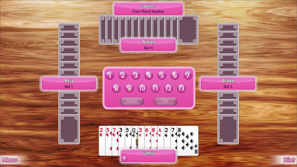 Скриншот из Card Games Mega Collection