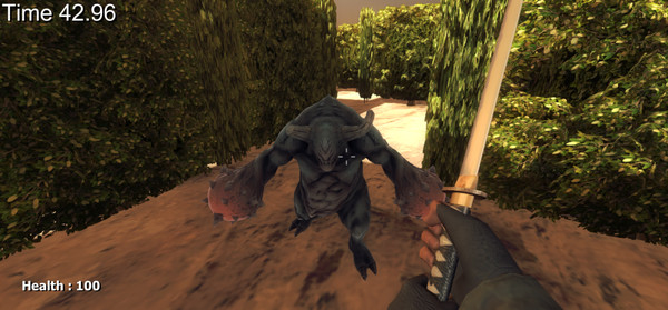 Maze Madnessfor windows and Linux 1