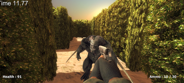 Скриншот из Maze Madness 3D FPS