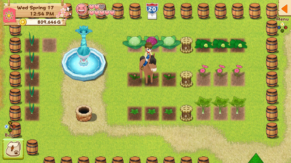 Скриншот из Harvest Moon: Light of Hope - Decorations & Tool Upgrade Pack