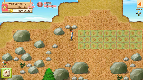 Скриншот из Harvest Moon: Light of Hope - Decorations & Tool Upgrade Pack