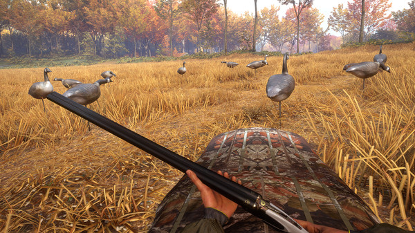 KHAiHOM.com - theHunter™: Call of the Wild - Wild Goose Chase Gear