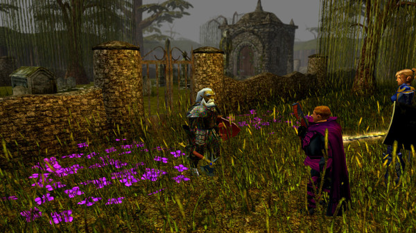 Скриншот из Neverwinter Nights: Enhanced Edition Darkness Over Daggerford
