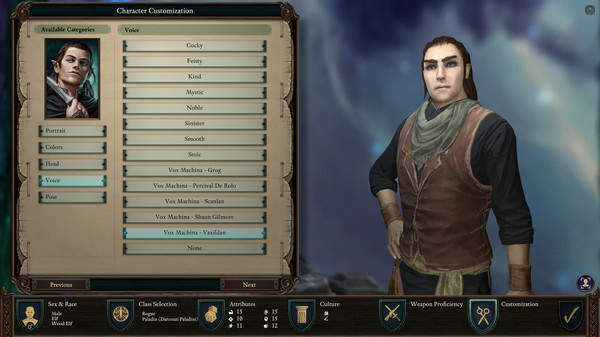 Скриншот из Pillars of Eternity II: Deadfire - Critical Role Pack