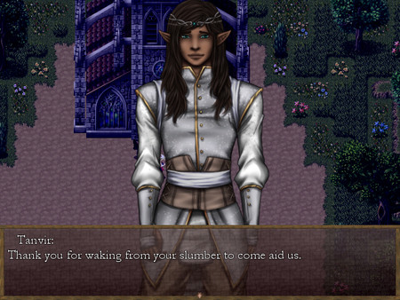 Wake Up, Good Guardian! game for Linux 1