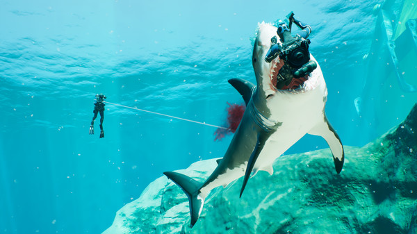 Last Tide game for windows Pc 1