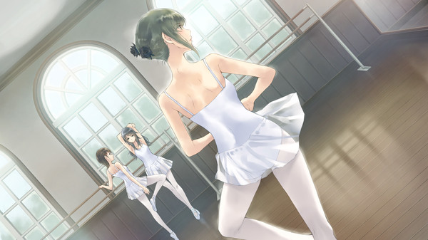 Flowers -Le volume sur ete- for linux