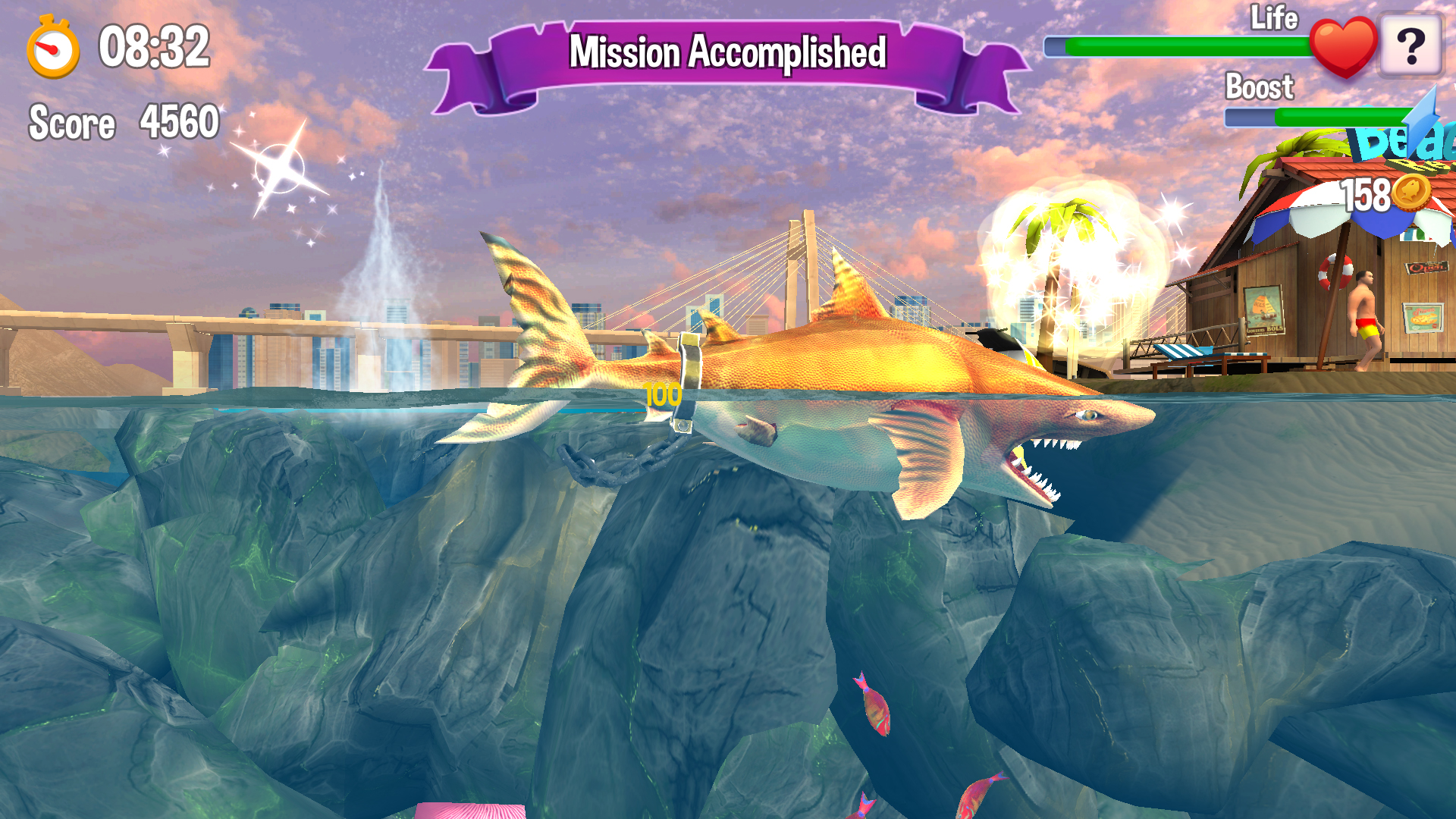 Shark Attack - Play Shark Attack Game Online