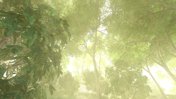 Vietcong game for Linux 1