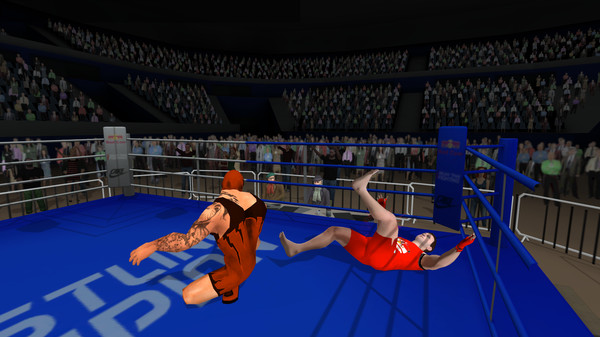 Wrestlers Without Boundaries Steam