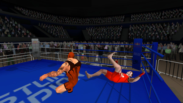 Скриншот из Wrestlers Without Boundaries