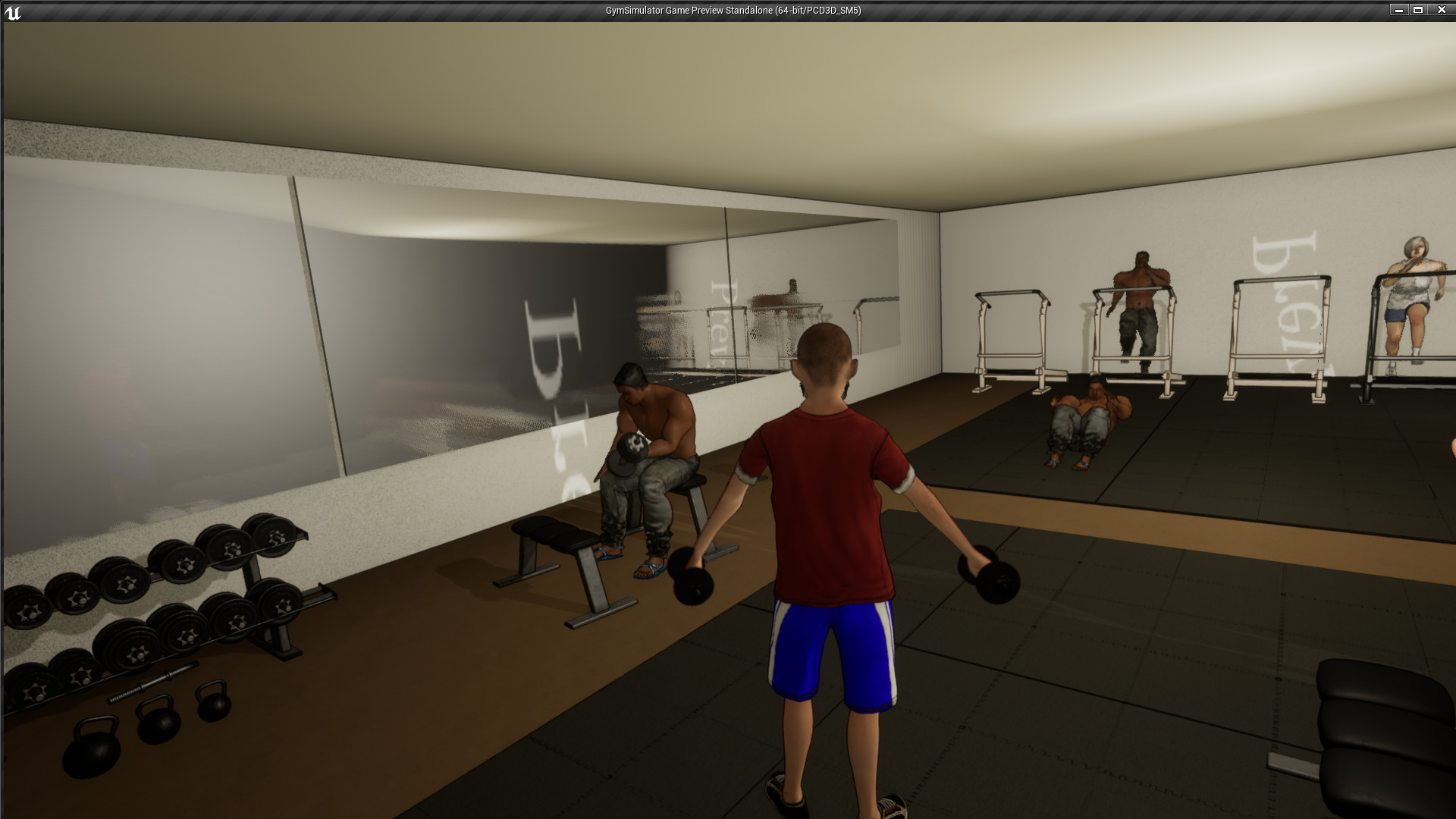 gym simulator