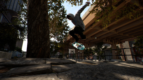 Session: Skateboarding Sim Game for linux