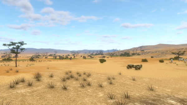 SAVANNA SHOT VR image