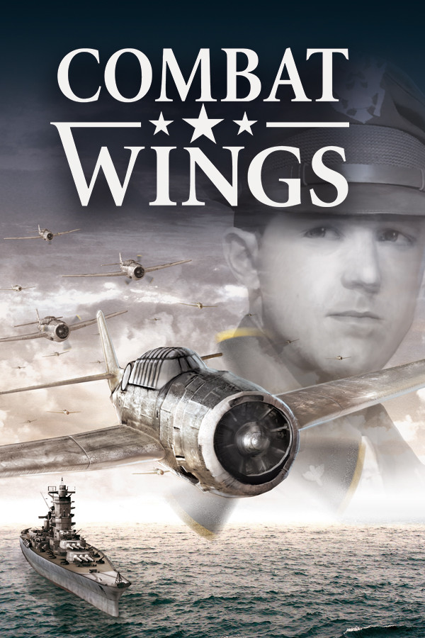 Combat Wings for steam