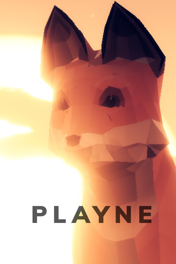 PLAYNE : The Meditation Game for steam