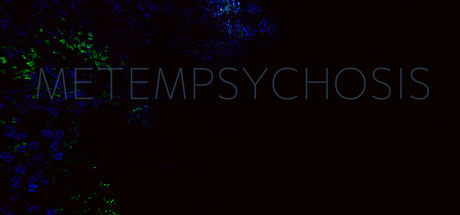 Metempsychosis cover art