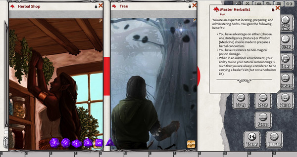 Скриншот из Fantasy Grounds - EN5ider: Nature's Remedy (5E)