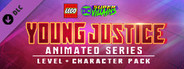 Young Justice Animated Series