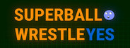 SUPER BALL WRESTLE YES System Requirements