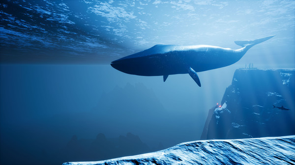 Volcano Eruptionfor windows and Linux 1