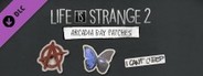 Life is Strange 2 - Arcadia Bay Patches DLC